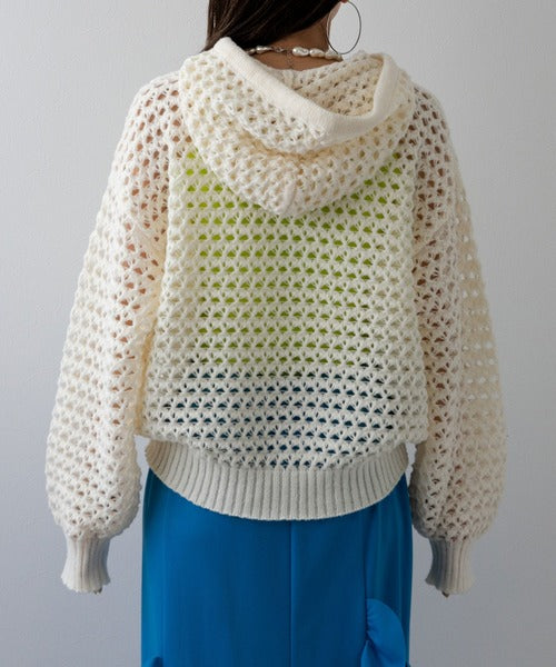 Openwork Mesh Hooded Pullover Knit
