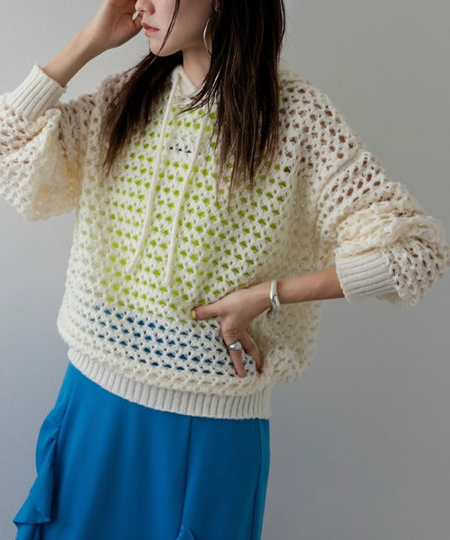 Openwork Mesh Hooded Pullover Knit