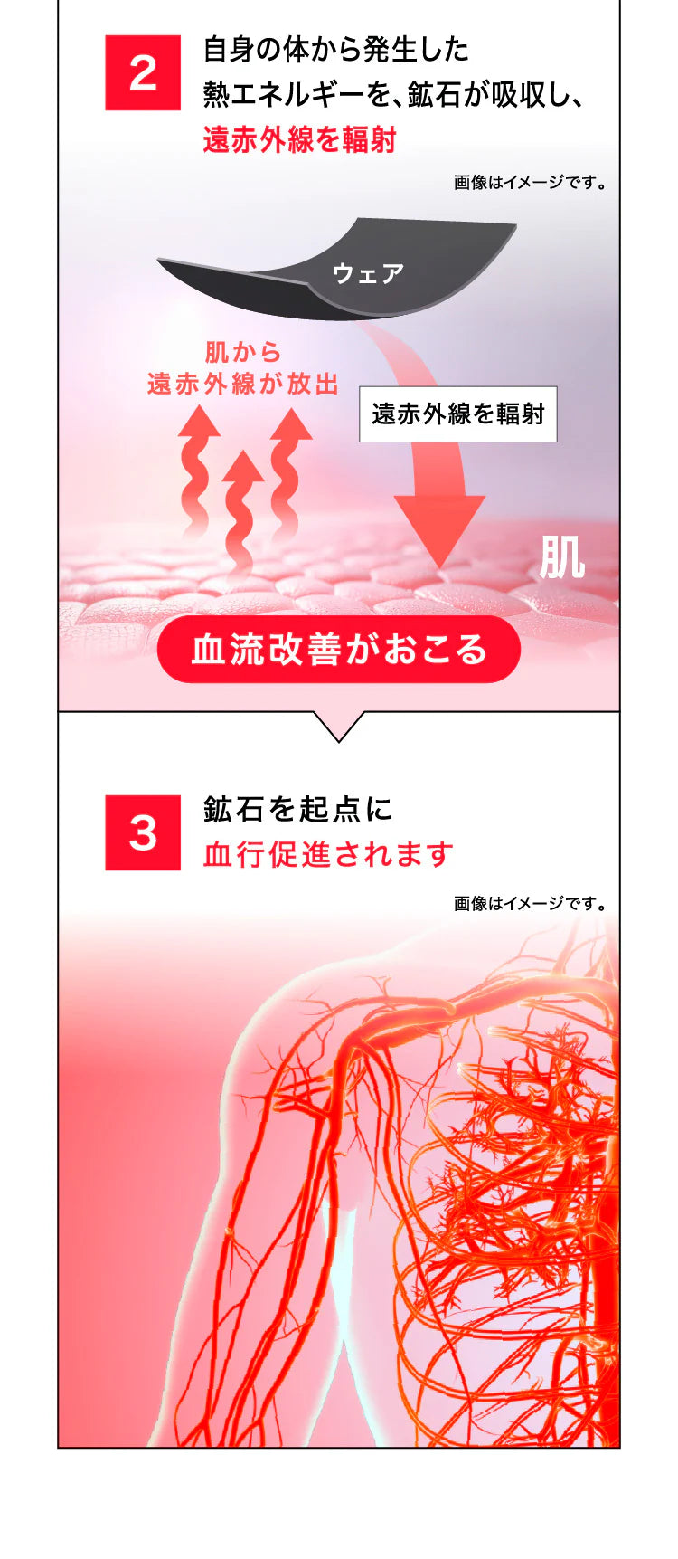 REZAP T卹
