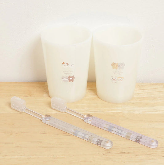 蓬鬆貓盯著塑膠杯
