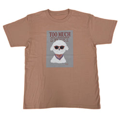 [新產品] 太陽鏡poil T