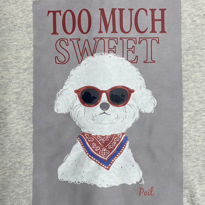 [新產品] Sunglasses poil 連帽衫