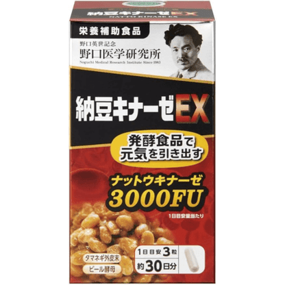 野口医学研究所 ナットウキナーゼEX 90錠